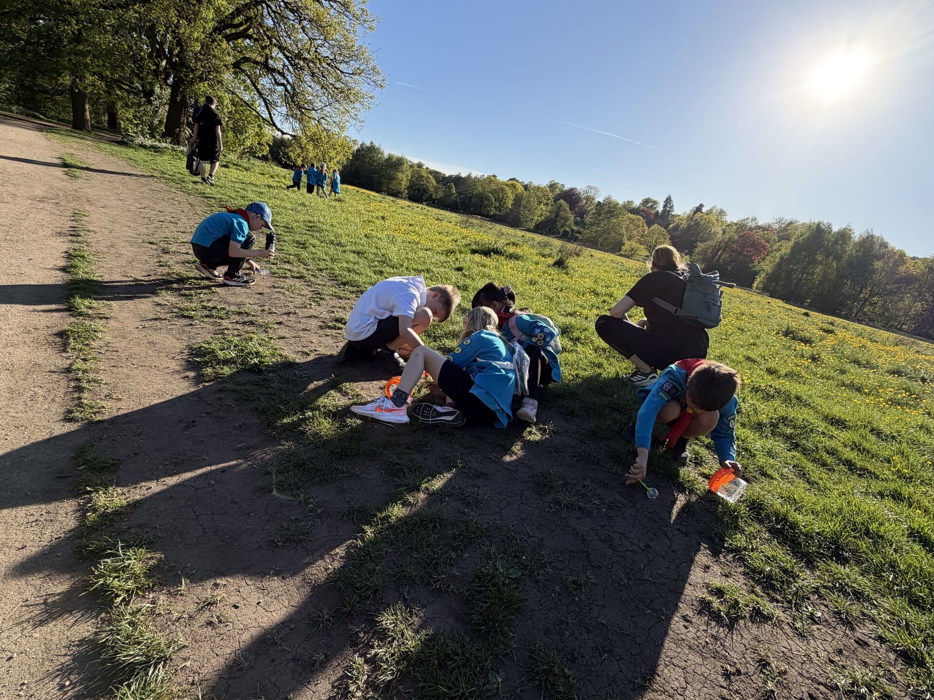 Beavers and leaders exploring nature on a sunny hillside